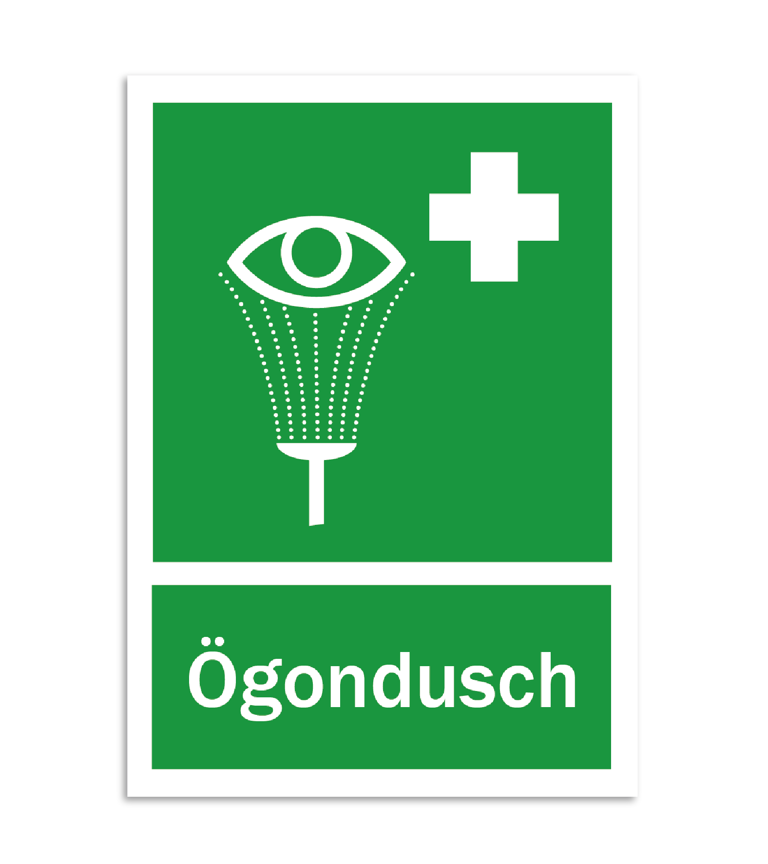 Skylt-ögondusch Skylt-ögondusch